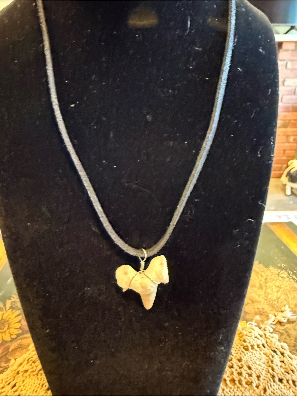 New Natural  Shark Tooth Pendant Necklace with leather